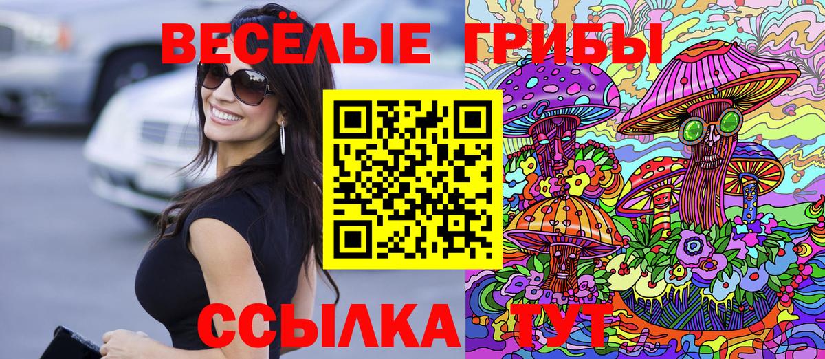 Искитим  Псилоцибиновые грибы Magic Shrooms  Галлюциногенные грибы Cubensis  Вход с VPN 